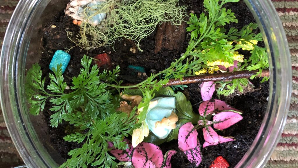 plantas_terrario_1