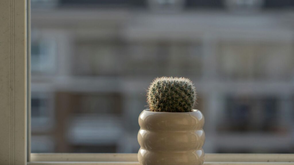 plantas_terrario_cerrado_12